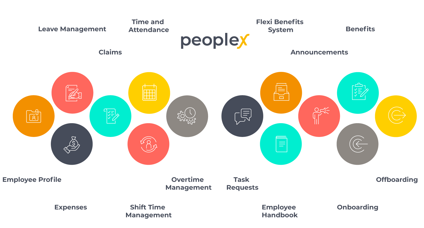 PeopleX-Chart-verticle